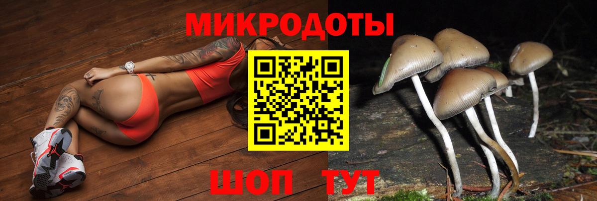 Псилоцибиновые грибы мухоморы  Вход с VPN  Саранск  Псилоцибиновые грибы прущие грибы 